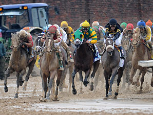 Clean Test Results for Derby, Oaks Starters Clean Test Results for Derby, Oaks Starters