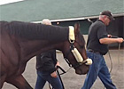 Kentucky Derby Winner Orb Leaves Churchill Kentucky Derby Winner Orb Leaves Churchill