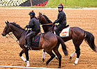 Nine Entered for 138th Preakness Stakes Nine Entered for 138th Preakness Stakes