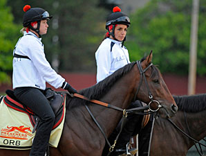 Preakness Preview: Orb is Everyone's Target Preakness Preview: Orb is Everyone's Target