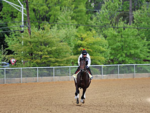 Preakness: Orb at Pimlico, 5/16/2013