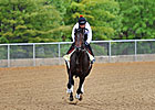 Preakness: Orb at Pimlico, 5/16/2013