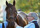 Hard to get Past Orb in Preakness