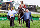 Derby Winner Orb Exits Well, New York Bound