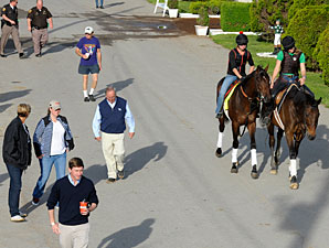 Tradition is Strong Behind Orb Tradition is Strong Behind Orb