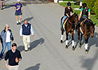 Tradition is Strong Behind Orb Tradition is Strong Behind Orb