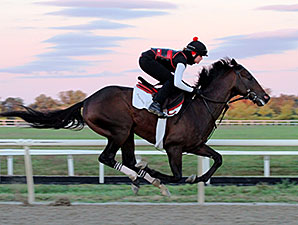 Orb Breezes Five Furlongs at Fair Hill Orb Breezes Five Furlongs at Fair Hill