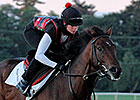 Orb Camp Seeking Answer for Gold Cup Flop Orb Camp Seeking Answer for Gold Cup Flop