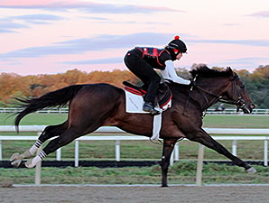 Orb Back on Worktab With Cigar Mile as Target Orb Back on Worktab With Cigar Mile as Target