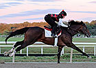 Orb Back on Worktab With Cigar Mile as Target Orb Back on Worktab With Cigar Mile as Target