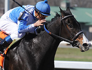 Orchestrator Engineers Bourbonette Oaks Wins Orchestrator Engineers Bourbonette Oaks Wins