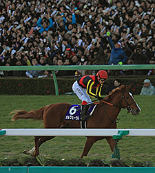 Orfevre Retires with Stylish Arima Kinen Win Orfevre Retires with Stylish Arima Kinen Win