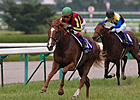 Japan's Orfevre Takes Another Shot at Arc Japan's Orfevre Takes Another Shot at Arc