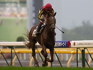 Favored Orfevre Wins Japanese Derby Favored Orfevre Wins Japanese Derby