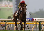 Favored Orfevre Wins Japanese Derby Favored Orfevre Wins Japanese Derby