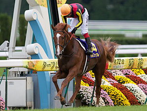 Orfevre Completes Japanese Triple Crown Orfevre Completes Japanese Triple Crown