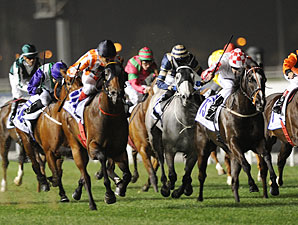 Aussie Mare Ortensia Scores Al Quoz Sprint Aussie Mare Ortensia Scores Al Quoz Sprint