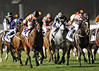 Aussie Mare Ortensia Scores Al Quoz Sprint Aussie Mare Ortensia Scores Al Quoz Sprint