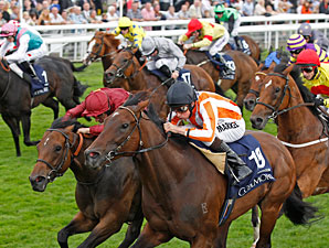 Ortensia Charges Late to Take Nunthorpe Ortensia Charges Late to Take Nunthorpe