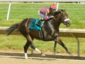 Our Edge Rules Over Barbaro Rivals Our Edge Rules Over Barbaro Rivals