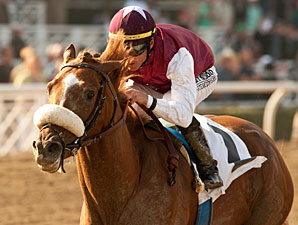 Out of Bounds Set for Maktoum Challenge Out of Bounds Set for Maktoum Challenge