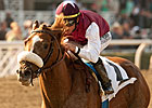 Out of Bounds Set for Maktoum Challenge Out of Bounds Set for Maktoum Challenge