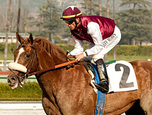 Out of Bounds Suffers Fracture in Workout Out of Bounds Suffers Fracture in Workout