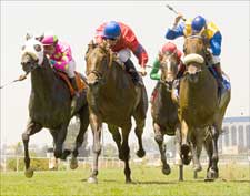 Frankel Takes 'Control' to American Handicap Upset Frankel Takes 'Control' to American Handicap Upset