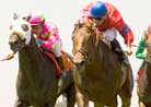 Frankel Takes 'Control' to American Handicap Upset