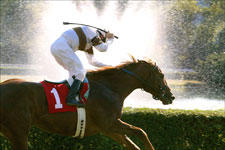Old Man Buck Rocks in Grassy Cradle Stakes Old Man Buck Rocks in Grassy Cradle Stakes