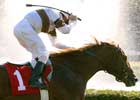 Old Man Buck Rocks in Grassy Cradle Stakes Old Man Buck Rocks in Grassy Cradle Stakes