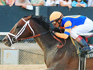 Grade I Winner Overanalyze Retired to WinStar Grade I Winner Overanalyze Retired to WinStar