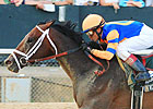 Grade I Winner Overanalyze Retired to WinStar Grade I Winner Overanalyze Retired to WinStar