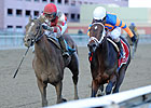 Castellano on Normandy Invasion in Wood