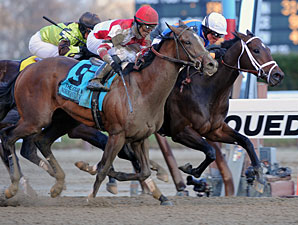 Overanalyze Wins Remsen Headbob Overanalyze Wins Remsen Headbob