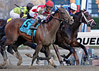 Overanalyze Wins Remsen Headbob Overanalyze Wins Remsen Headbob