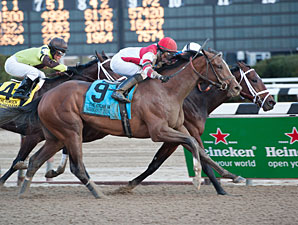 Normandy Invasion, Itsmyluckyday Return Normandy Invasion, Itsmyluckyday Return