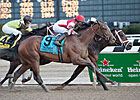 Normandy Invasion, Itsmyluckyday Return Normandy Invasion, Itsmyluckyday Return