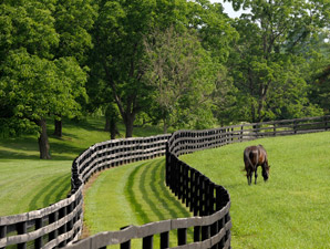 Terrazas to Lease Overbrook Land Terrazas to Lease Overbrook Land