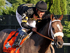 Preakness Winner Oxbow Likely Done for Year Preakness Winner Oxbow Likely Done for Year