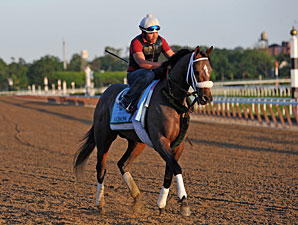 Oxbow to Arrive at Monmouth Park Friday Oxbow to Arrive at Monmouth Park Friday