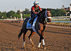 Oxbow Could Join Lukas' Dual Classic Winners Oxbow Could Join Lukas' Dual Classic Winners
