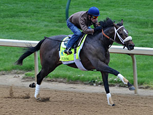 Lukas Names Jockeys for Preakness Trio Lukas Names Jockeys for Preakness Trio