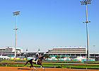Kentucky Derby 139 Pedigrees Examined