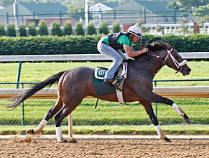 Oxbow, Golden Soul Breeze at Churchill Downs Oxbow, Golden Soul Breeze at Churchill Downs