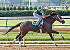 Oxbow, Golden Soul Breeze at Churchill Downs