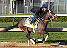 Oxbow Heads Monday's Derby, Oaks Workers Oxbow Heads Monday's Derby, Oaks Workers