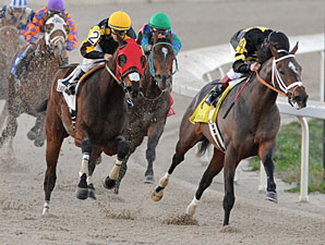 Oxbow in Lecomte, Silverbulletday is 'Magic'
