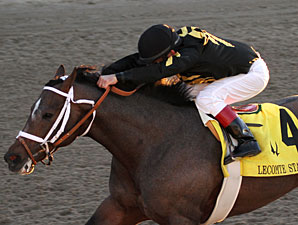 Risen Star a Popular Race; 15 Entered Risen Star a Popular Race; 15 Entered