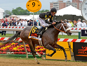 http://cdn.bloodhorse.com/images/content/OxbowPreakness2013AE298.jpg